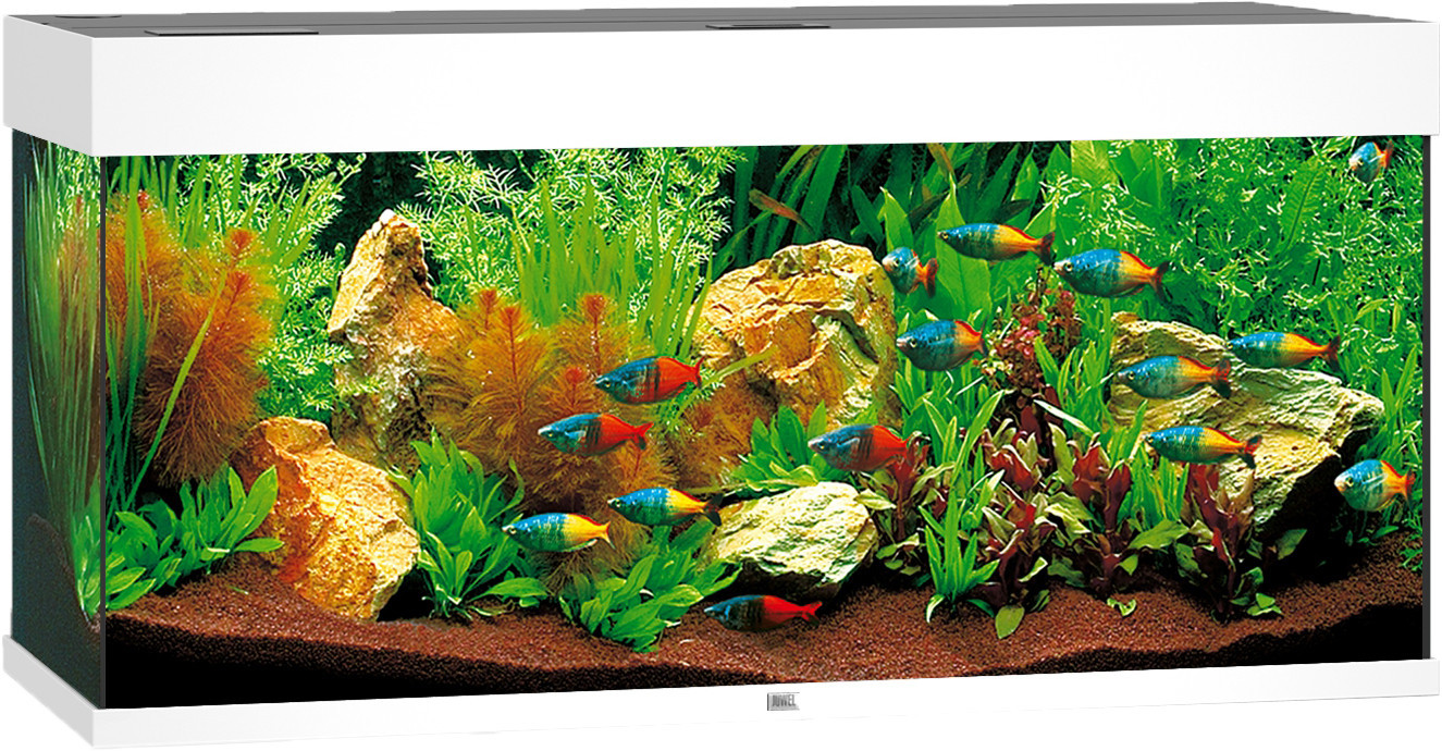 Gezond eten Verouderd Nauwkeurig Juwel aquarium Rio 180 LED wit | Hoodie Dier XL
