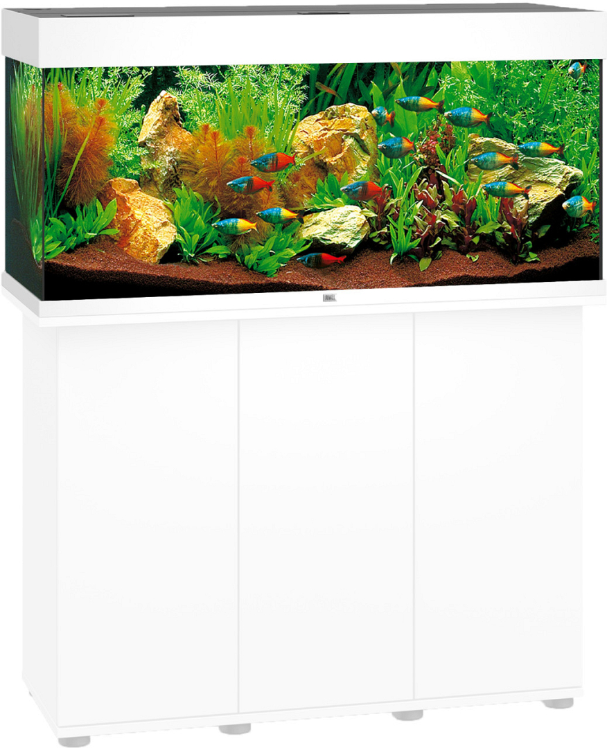 Zakenman Afwijzen Tol Juwel aquarium Rio 180 LED wit | Hoodie Dier XL