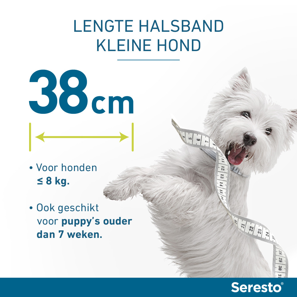 Wreed Scorch Getalenteerd Seresto band voor kleine honden | Hoodie Dier XL
