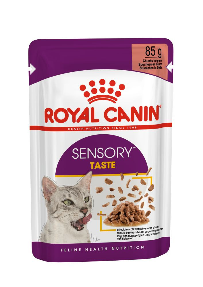 melodie uitzetten Stationair Royal Canin kattenvoer Sensory Taste in gravy 12 x 85 gr | Hoodie Dier XL