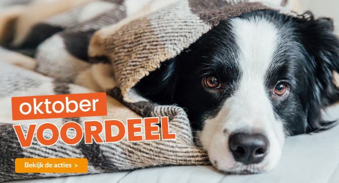 slider oktober 2025 674x364
