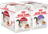 Royal Canin Kat Natvoer 12 x 85 gr