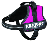 Julius K9 Powerharness fuchsia