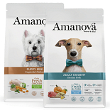 Amanova Hond Droogvoer 2 kg