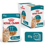 Royal Canin Kattenvoer Ageing 11+ in Jelly 12 x 85 gr