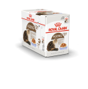 Royal Canin Kattenvoer Ageing 12+ In Jelly<br> 12 x 85 gr