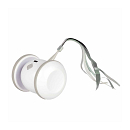 EBI Kattenspeelgoed Racing Roller