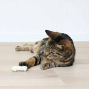 EBI Kattenspeelgoed Buzzing Caterpillar