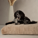 Scruffs Orthopedisch Hondenmatras Oxford Tan
