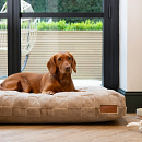 Scruffs Orthopedisch Hondenmatras Oxford Tan