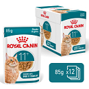 Royal Canin Kattenvoer Ageing 11+ in gravy <br>12 x 85 gr