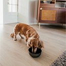 District 70 Voer- en Drinkbak Royal Antraciet