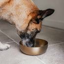 District 70 Voer- en Drinkbak Royal Gold