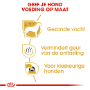 Royal Canin Hondenvoer Maltese Adult 1,5 kg