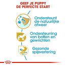 Royal Canin hondenvoer Dachshund Puppy 1,5 kg