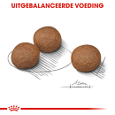 Royal Canin Hondenvoer Digestive Care Medium 3 kg