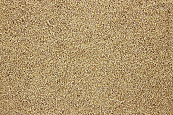Kuikenkruim I 4,5 kg