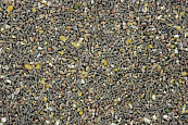 Krielkip/Kwartel Scharrel Mix 20 kg