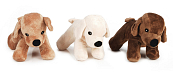 Beeztees hondenspeelgoed Hond Asco assorti