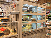 Impressie winkel
