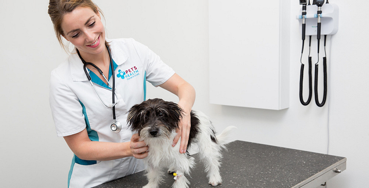 Pets Health dierenkliniek