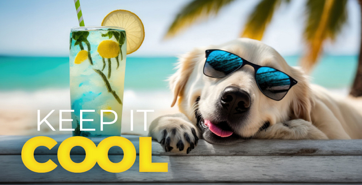 Keep it cool!