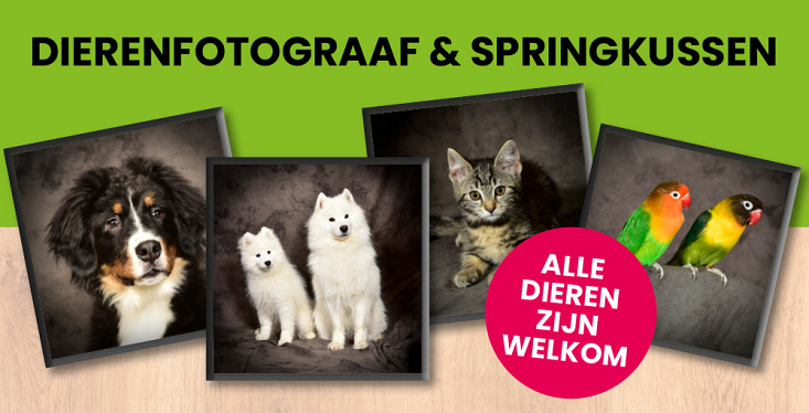 Dierenfotograaf en springkussen