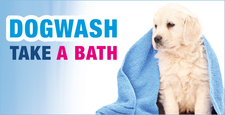 Dogwash in onze winkel