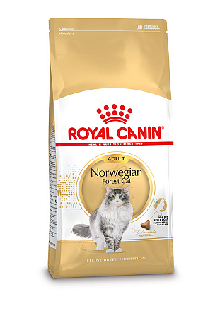 Royal Canin kattenvoer Norwegian Forest Cat Adult 2 kg