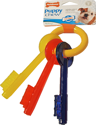 NylaBone Puppy Chew Teething Key S