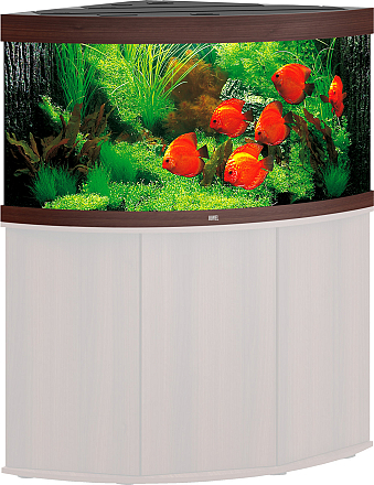 Juwel aquarium Trigon 350 LED donkerbruin