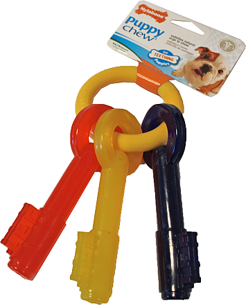 NylaBone Puppy Chew Teething Key M