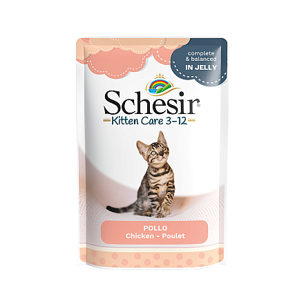 Schesir Kattenvoer Kitten 3-12 Kip Gelei<br> 85 gr