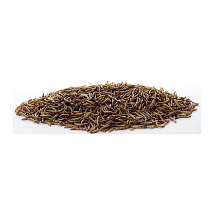 ESVE Meelwormen<br> 700 gr