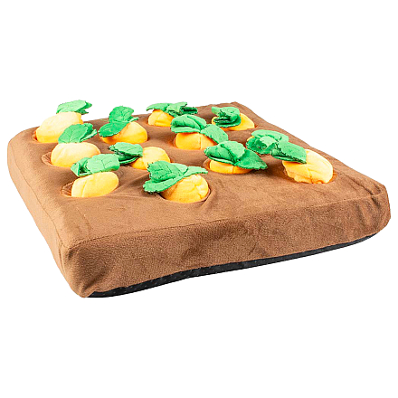 Duvo+ Snackmat Wortel Moestuin