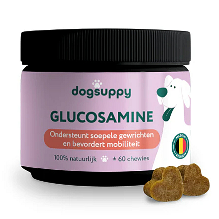 Dogsuppy Glucosamine 60 st