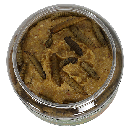 Pindakaas Larven met Insecten 350 gr