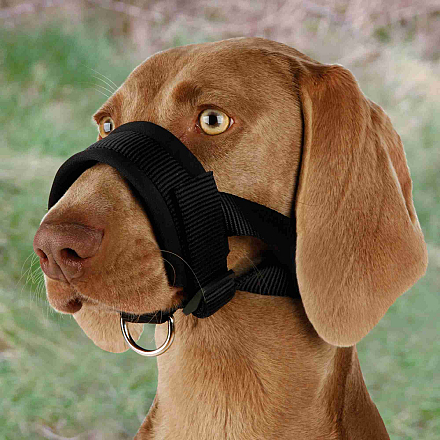 TRIXIE Snuitje zwart nylon