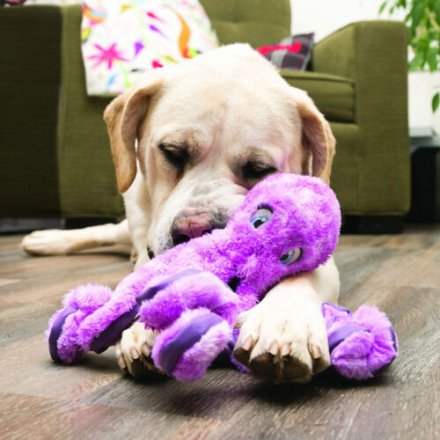 Kong SoftSeas <br>Octopus L