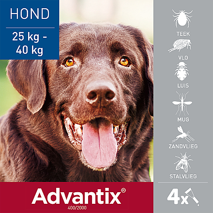 Advantix 400 4 pipetten