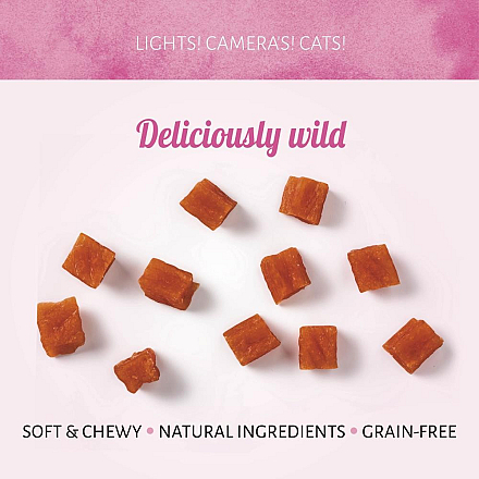 Antos Kattensnack Cubed Salmon 50 gr