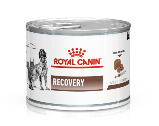 Royal Canin Recovery kat en hond 195 gr