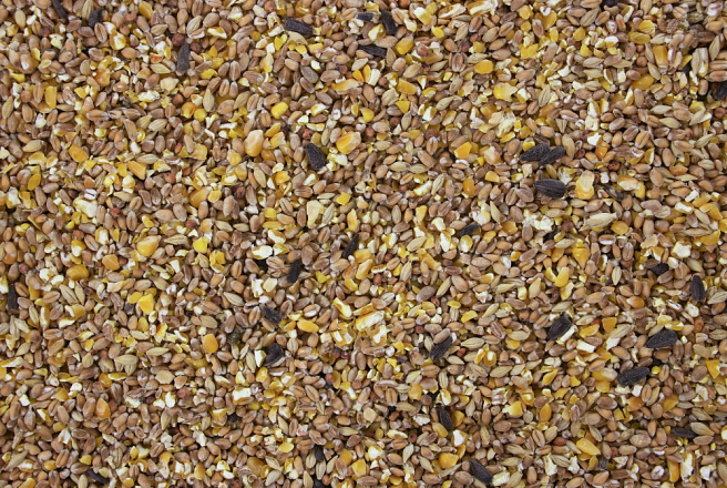 Gemengd Graan 2 kg