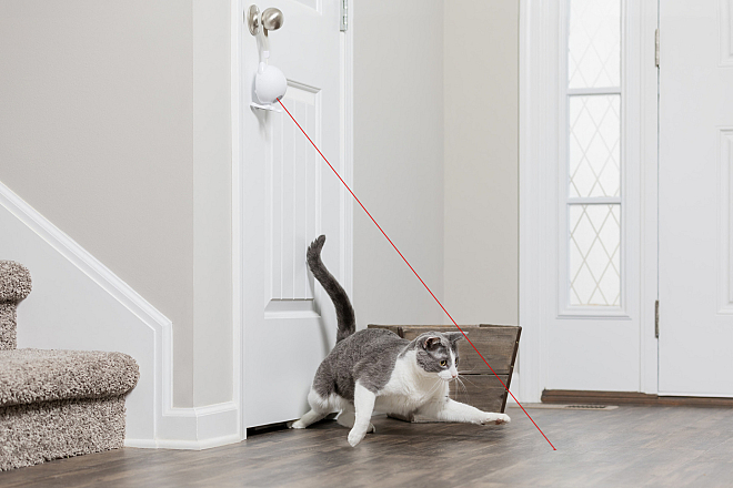 PetSafe FroliCat Dancing Dot Laser