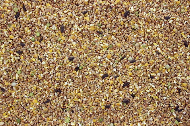 Ardeens Graan 5 kg