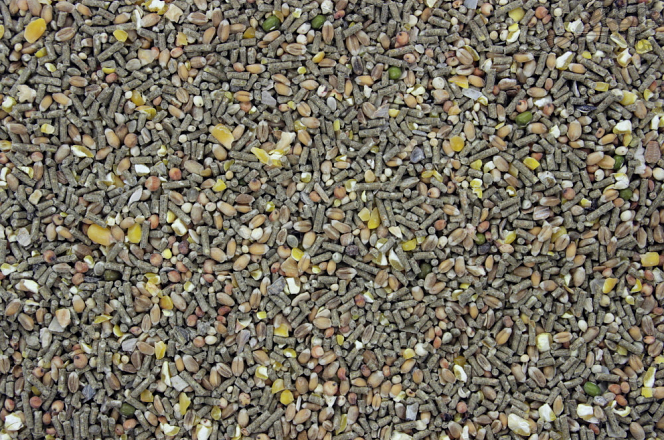 Krielkip/Kwartel Scharrel Mix 20 kg
