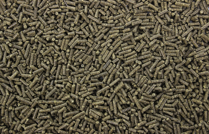 Konijnenkorrel 1 kg
