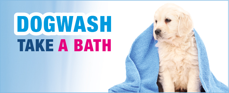 ​Makkelijk je hond wassen én drogen in onze Dogwash