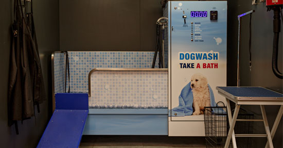 Dogwash