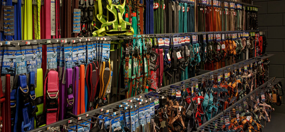 Winkel
